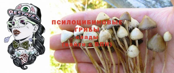 PSILOCYBIN Володарск